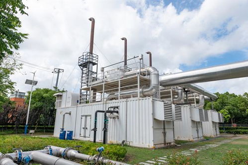 浦东“碳路者”以资源再生利用技术研发，引领“无废城市”建设新路径