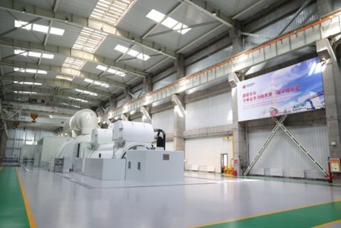 创新驱动，绿色发展 国家能源集团高位布置机组入选重大技术装备名录