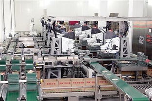 涪陵页岩气 从开采到循环，构建绿色产业链新图景